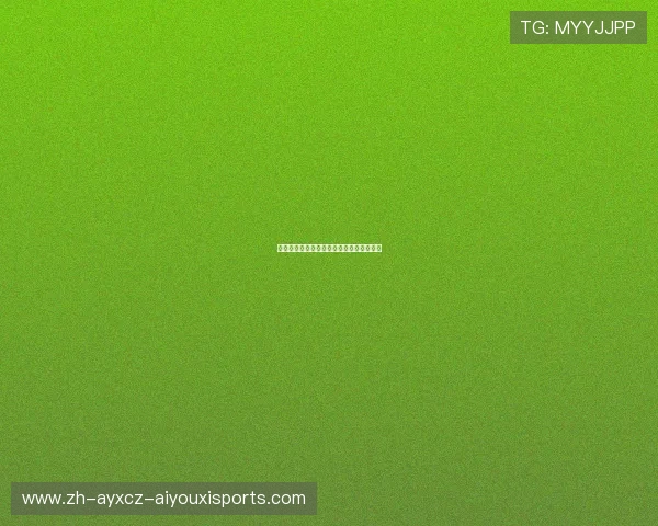 休斯敦火箭队现役球员名单及场均数据汇总