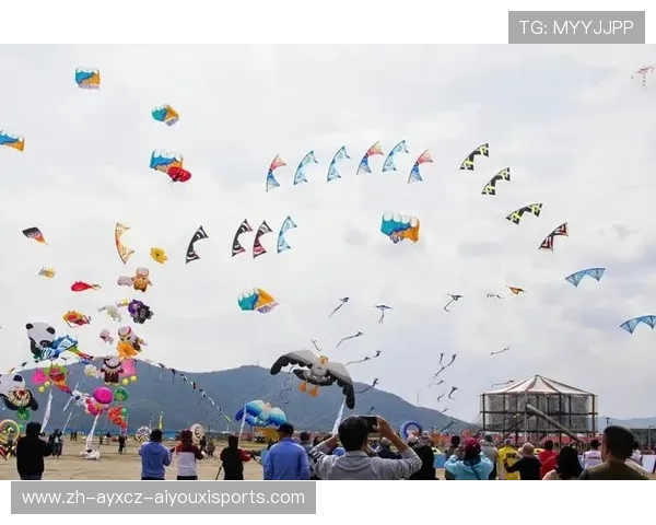 2026江西庐山首届全国风筝精英赛工作机构人员选派通知正式发布